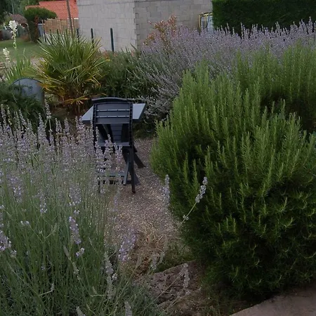 Nyaraló Millesime Proche St Emillion Abzac