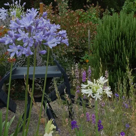 Millesime Proche St Emillion Feriehus *