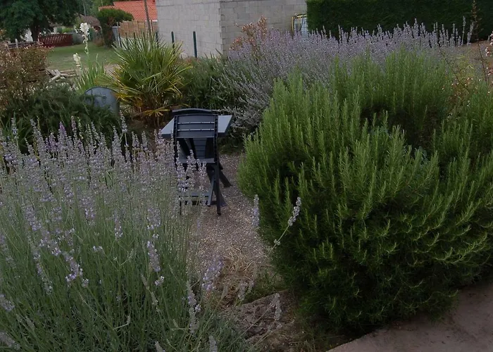 Nyaraló Millesime Proche St Emillion Abzac