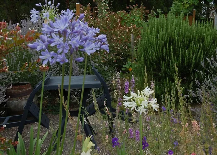 Millesime Proche St Emillion Nyaraló *